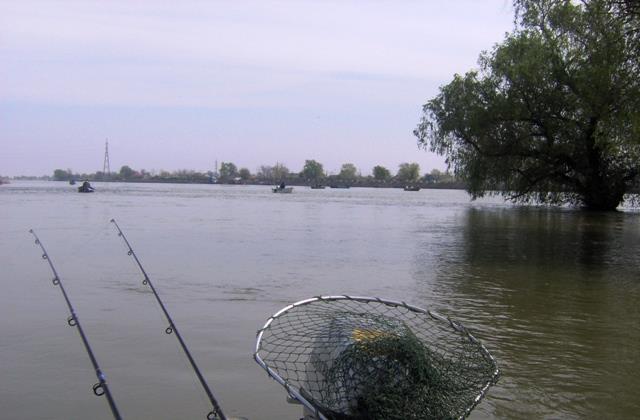 delta Mila 23 - mila-23---aprilie-2008-005.jpg